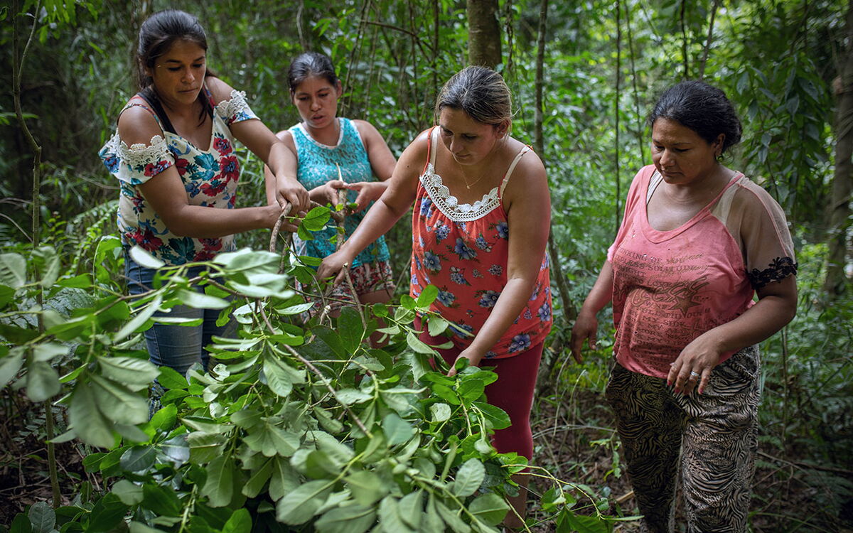 (c) Sonja Ritter/WWF