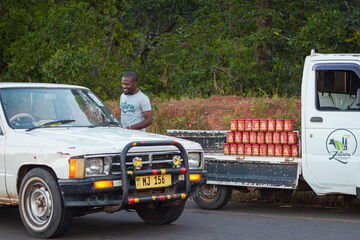 Ich bin ein Alternativtext