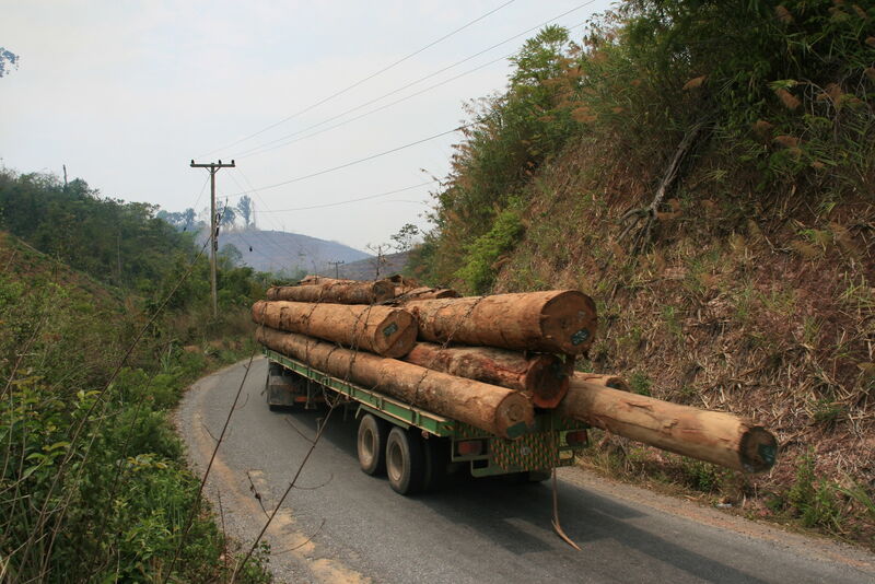 A timber truck transports large logs through a winding road in Bolikhamxay province, surrounded by lush greenery.