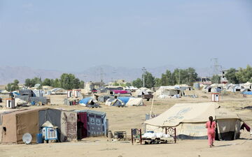 Quinoa könnte in Zentralasien ein riesiges Potenzial haben, wo das Aralseebecken besonders stark von der Versalzung betroffen ist. Foto: ICBA