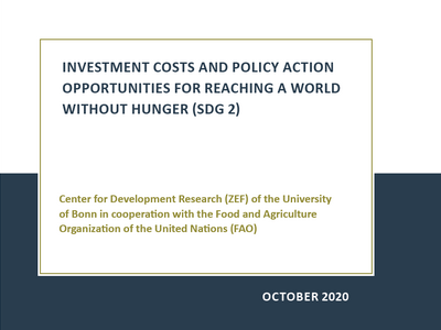 Titelseite eines Berichts über Investitionskosten zur Erreichung einer Welt ohne Hunger, erstellt von ZEF und FAO im Oktober 2020.