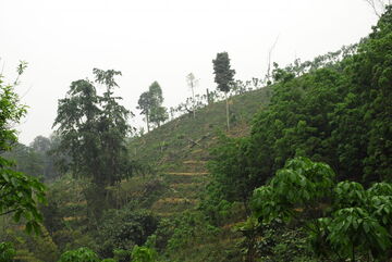 Ich bin ein Alternativtext