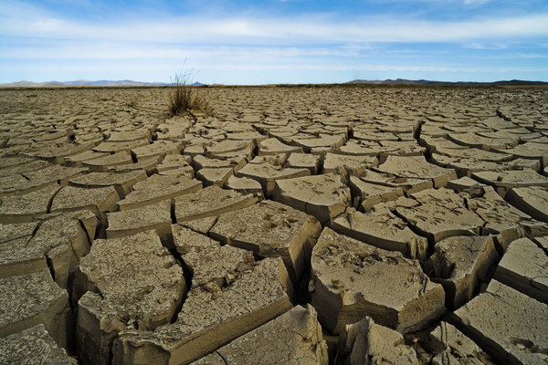 A vast expanse of cracked, dry earth stretches under a clear blue sky, highlighting the impact of drought.