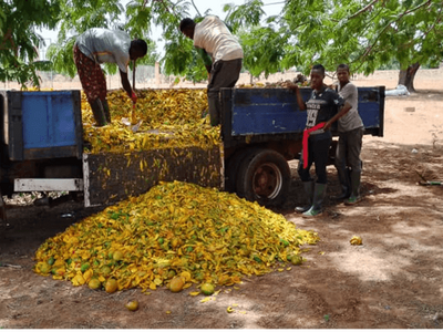 Ich bin ein Alternativtext