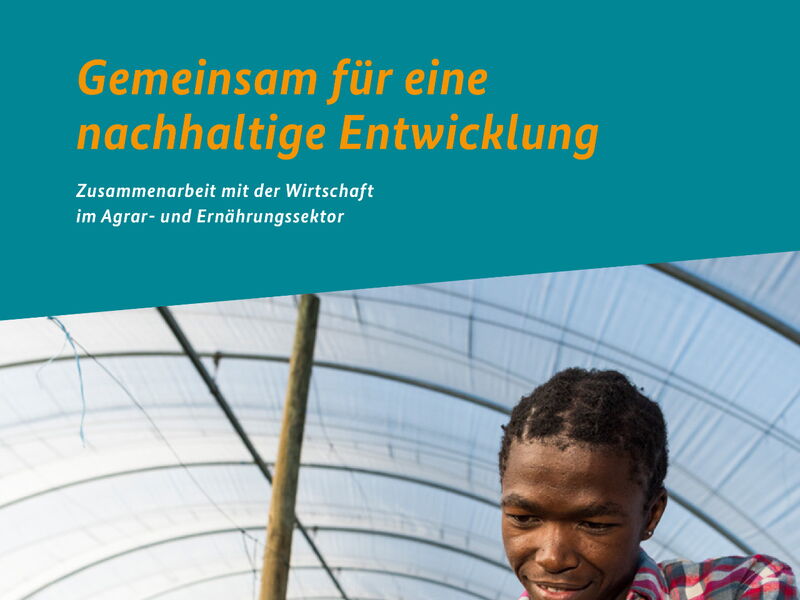 A person examines a tablet in a greenhouse, promoting sustainable agricultural development.