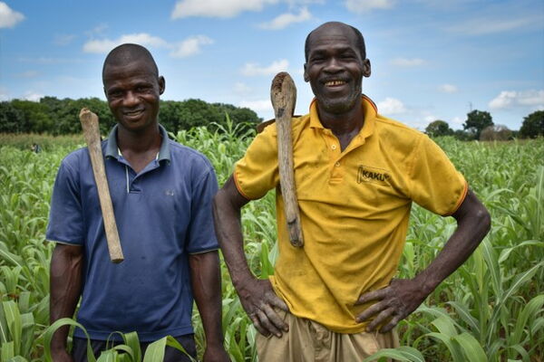 A woman conducts a laboratory test, two farmers smile in a field, and a woman carries a basket of harvested vegetables.