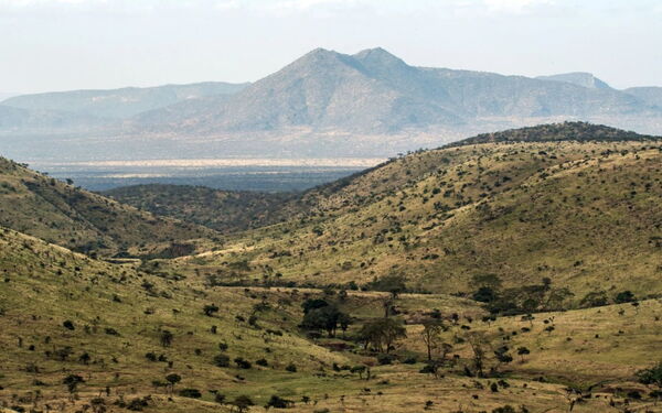 Hügelige Landschaft mit spärlichem Bewuchs erstreckt sich vor einem majestätischen Berg im Hintergrund.