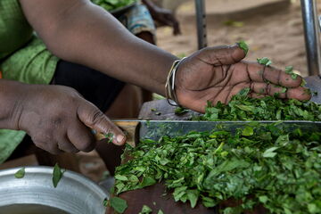 Ich bin ein Alternativtext