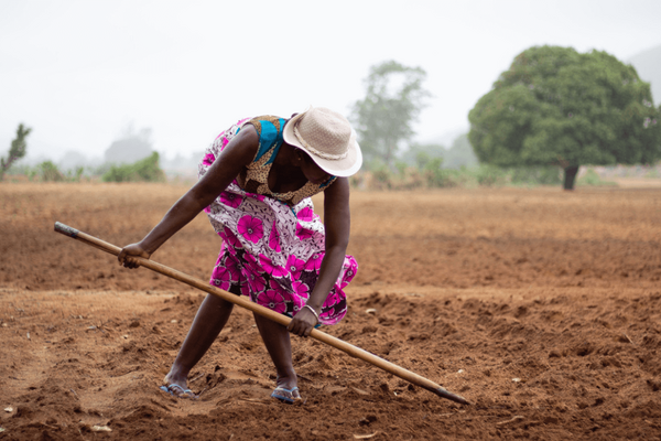 A woman in a colorful dress and hat works with a hoe in a vast, barren field under a cloudy sky.