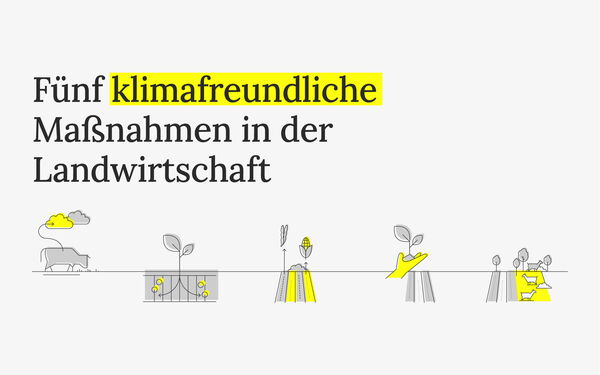 Text auf grauem Hintergrund beschreibt klimafreundliche Maßnahmen in der Landwirtschaft, mit gelben Illustrationen von Pflanzen und Tieren.