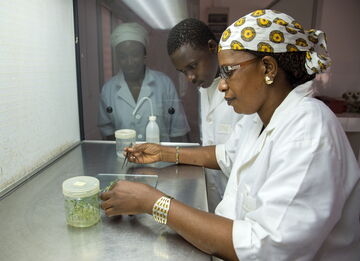 Agricultural research in the laboratory. Photo: GIZ/Klaus Wohlmann