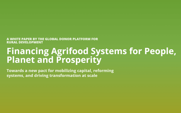 Ein Whitepaper der Global Donor Platform thematisiert die Finanzierung von Agrarlebensmittelsystemen für Mensch und Umwelt.