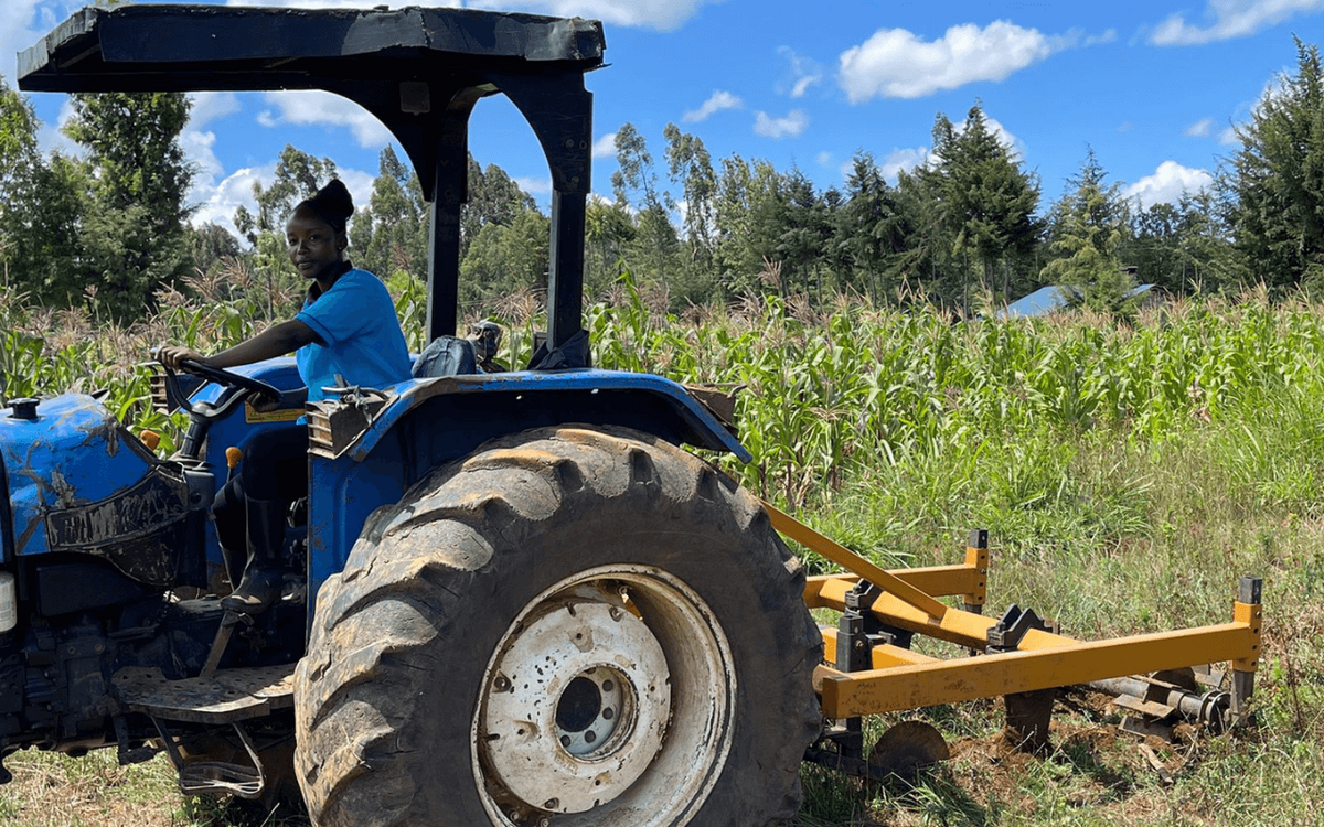 Eine Person fährt einen blauen Traktor auf einem Feld unter blauem Himmel und bereitet den Boden vor.