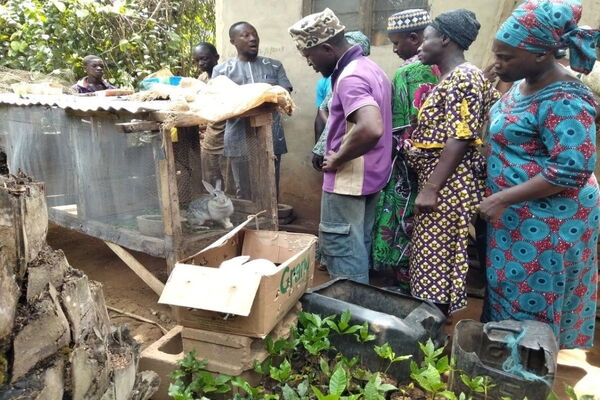 A group of people in colorful attire gather around a rabbit hutch in a rural setting, discussing bushmeat alternatives.