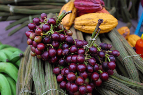 A vibrant display of fresh tropical fruits and vegetables, including cacao pods and clusters of red berries in Ecuador. | © GIZ Giacomo Rubini