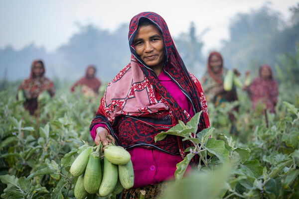 A woman stands in a lush field holding freshly picked vegetables, with others in the background at the N4G Summit.
