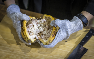 Visitors at the BMZ counter were able to try seeds from fresh cocoas. ©BMZ, Jürgen Cyranek, 2023