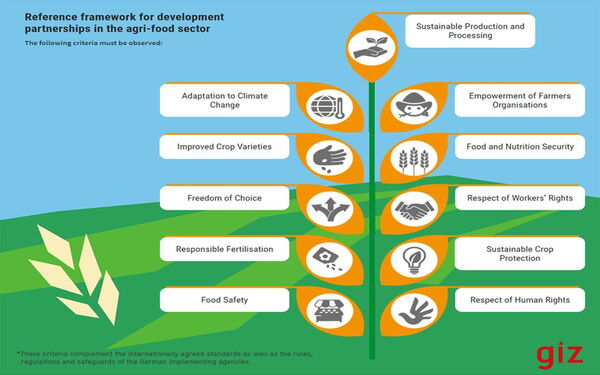 Infographic illustrating key criteria for agribusiness partnerships, including climate adaptation and sustainable production.