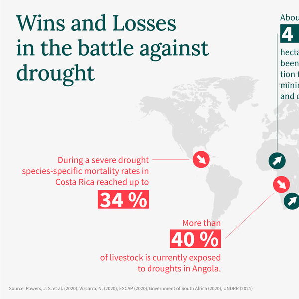 Infographic on global drought impacts highlights statistics on Africa, Asia, and the Americas, emphasizing rehabilitation efforts.