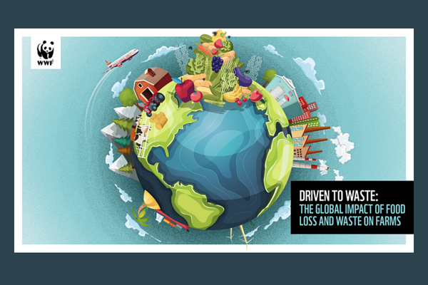 A globe surrounded by farms and food illustrates the global impact of food loss and waste, with a "Driven to Waste" headline.