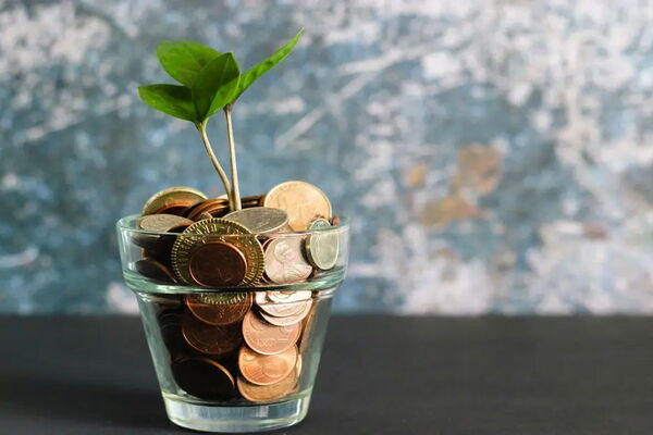 A small green plant grows from a glass filled with coins, symbolizing financial growth and sustainability.