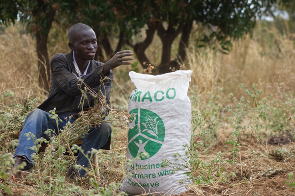 A person harvests plants next to a branded sack in a field, emphasizing sustainable farming practices.