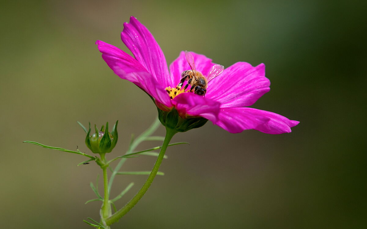 (c) Christoph Püschner/Zeitenspiegel