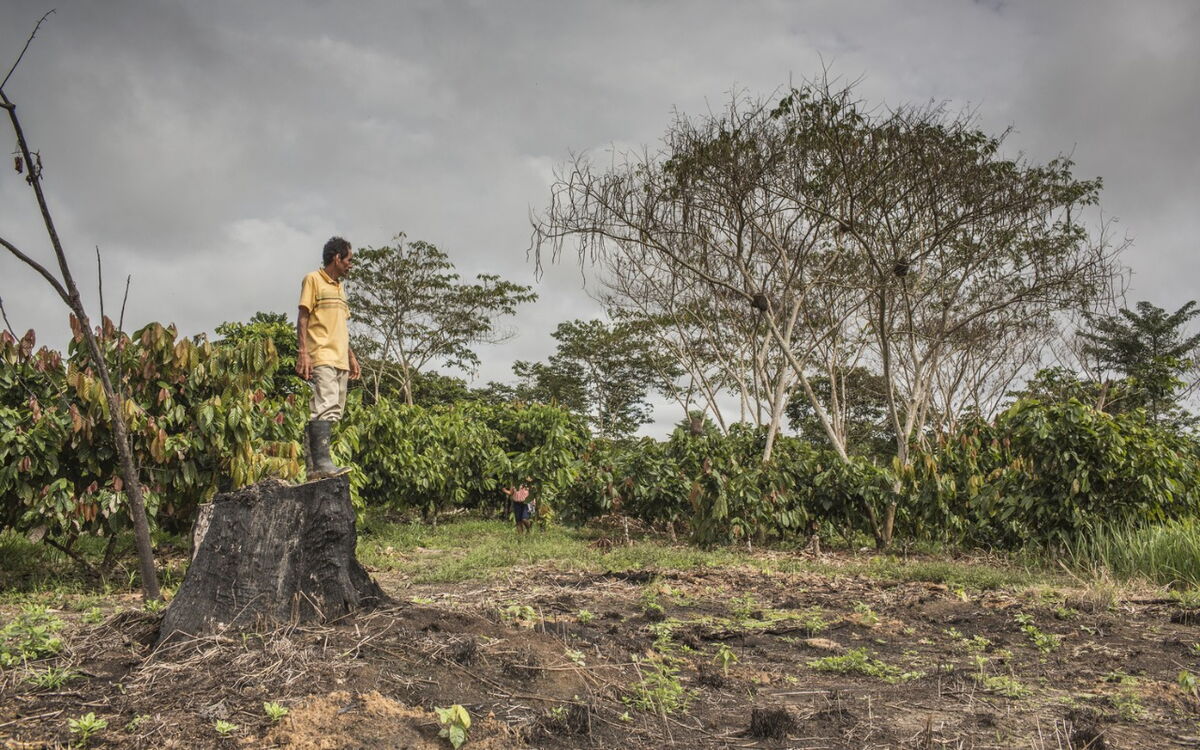 Ein Mann in gelbem Hemd steht nachdenklich auf einem Baumstumpf in einer bewaldeten Landschaft unter grauem Himmel.