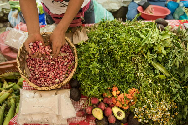 A person sorts vibrant beans into a basket surrounded by fresh herbs and vegetables at a market.