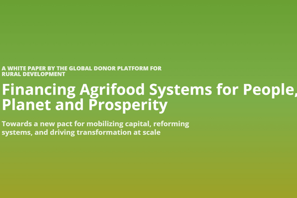 The white paper cover on a green gradient background discusses financing agrifood systems for sustainable development.