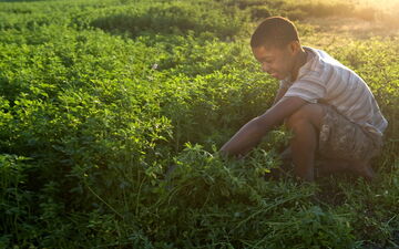 Studienteilnehmende großer sowie von Frauen geführter Haushalte leiden stärker unter Ernährungsunsicherheit. (c) Friederike Krämer/GIZ