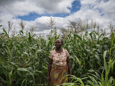 Eine Frau steht zufrieden inmitten eines üppigen Maisfeldes unter einem bewölkten Himmel.