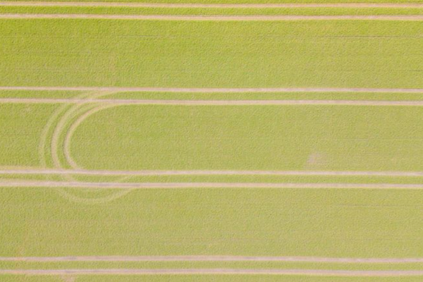 Aerial view of a vibrant green field with parallel tractor lines and a distinct curved pattern.