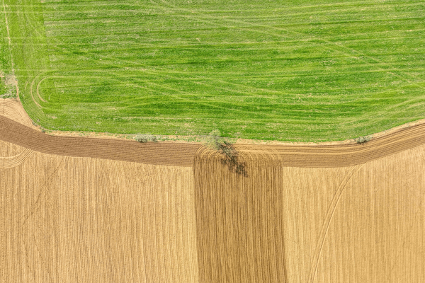 Aerial view of lush green and golden fields separated by a winding dirt path | © Jaum Jovell.