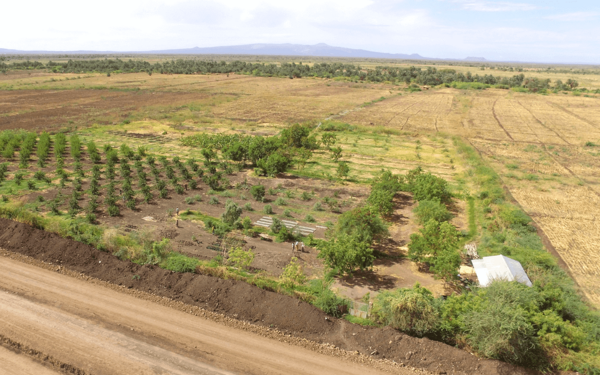 Luftaufnahme einer grünen, landwirtschaftlichen Fläche in Äthiopien neben einer unbefestigten Straße. | © GIZ Climax Film Production