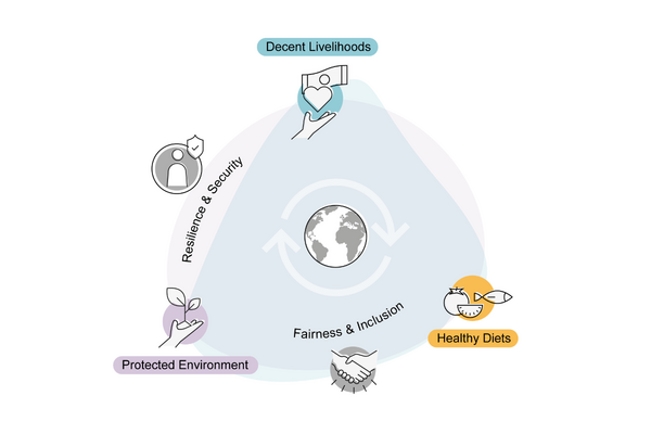 A diagram illustrates the concepts of decent livelihoods, resilience, protected environment, fairness, and healthy diets globally.