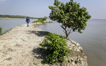Quinoa könnte in Zentralasien ein riesiges Potenzial haben, wo das Aralseebecken besonders stark von der Versalzung betroffen ist. Foto: ICBA