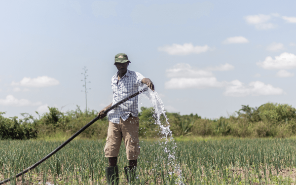 Ein Mann bewässert mit einem Schlauch ein Feld in Tansania, unterstützt durch Solarenergie.
