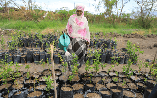 Eine Frau bewässert Setzlinge in einem Garten mit einer Gießkanne. | © GIZ Climax Film Production, 2021