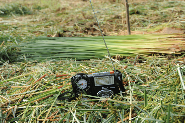 A portable radio with an extended antenna sits on freshly cut grass in a field. | © GIZ Ursula Meissner