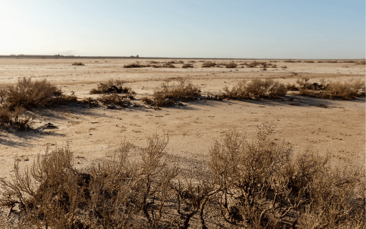 Karge Wüstenlandschaft mit verstreuten, trockenen Sträuchern unter klarem Himmel. | © GIZ Fouad Bestandji