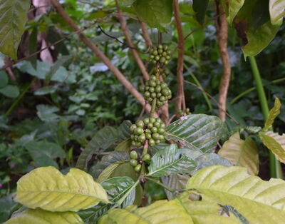 Ich bin ein Alternativtext