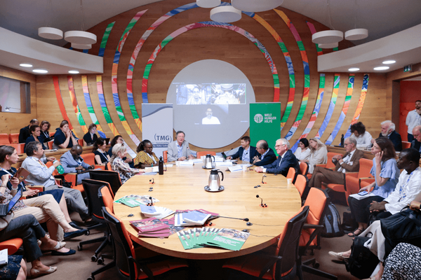 Attendees engage in a discussion around a large table at the UNFSS event, with colorful decor adorning the wooden walls.