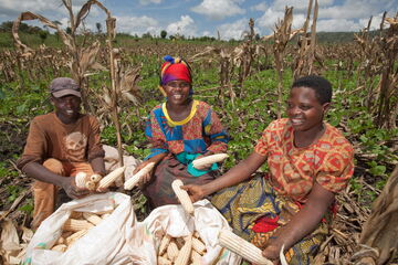 Ich bin ein Alternativtext