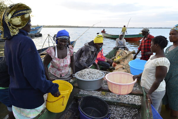 Fishermen and women sort fresh fish into colorful buckets by the lakeside, engaging in a lively market exchange.