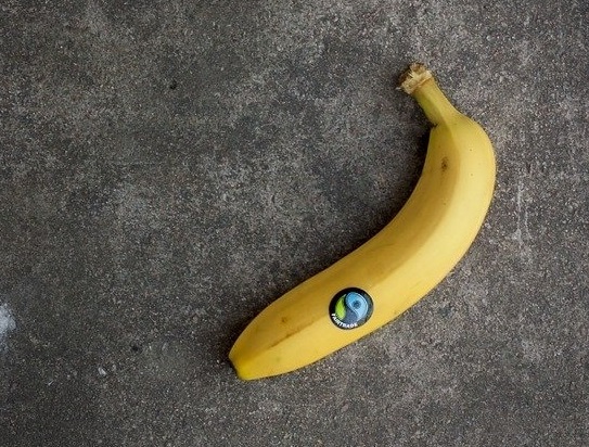 Eine einzelne gelbe Banane mit einem Fair-Trade-Siegel liegt auf grauem Betonboden.