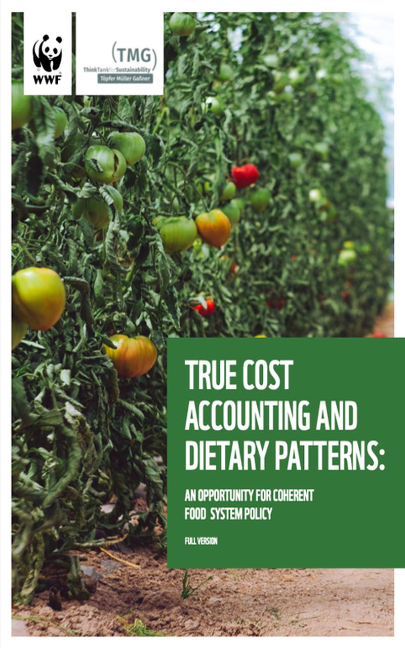 Abbildung des SLE basierend auf FIES-Indikator der FAO.