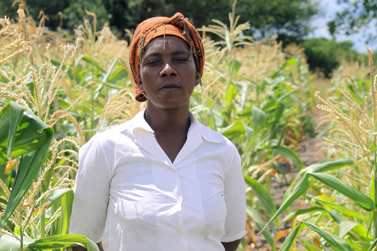 Zambia: Farmer in her maize field with improved, climate-adapted cultivation. Photo: WWF Germany