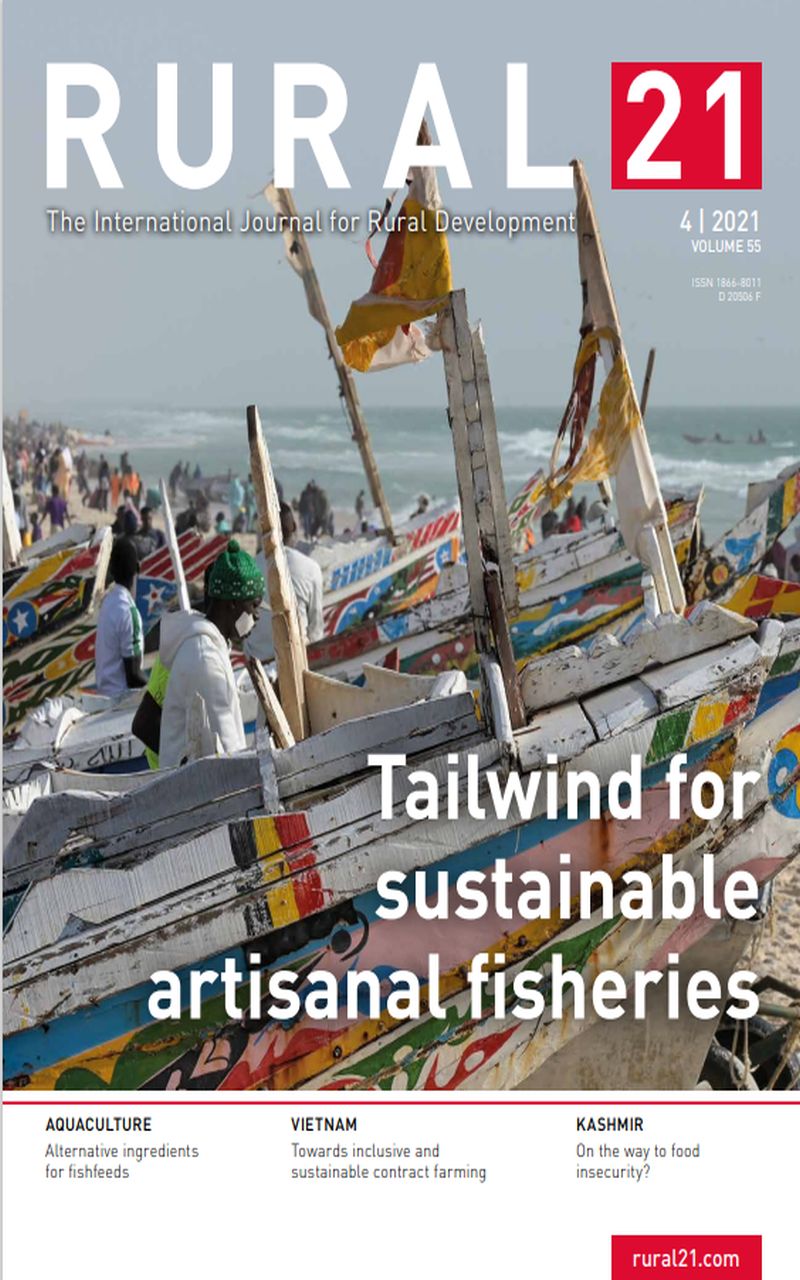 Bunte Fischerboote liegen am Strand, während Menschen sich für die nachhaltige Fischerei bei Rural21 engagieren.