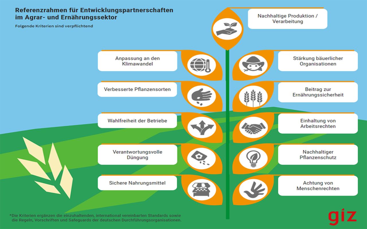 Infografik zeigt Kriterien für nachhaltige Agrarentwicklung, wie Klimaanpassung und Ernährungssicherheit, in Blattform.